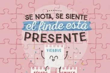 Mr Wonderfull