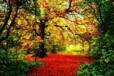 Forest jigsaw puzzle
