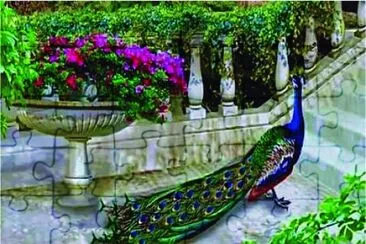 2 jigsaw puzzle