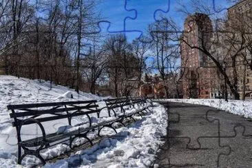 Central Park jigsaw puzzle