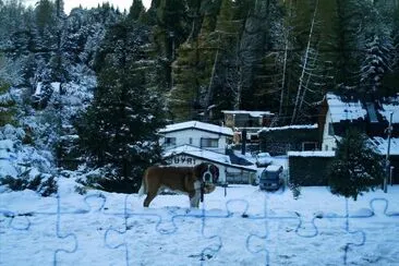 Bariloche San Bernardo