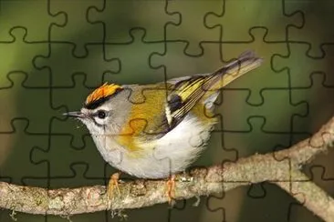 Fiorrancino di madera jigsaw puzzle