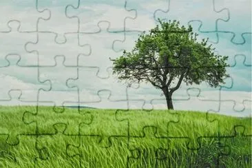 Nature jigsaw puzzle