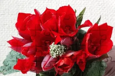 Flores