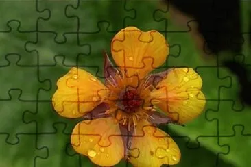 Trolle jigsaw puzzle