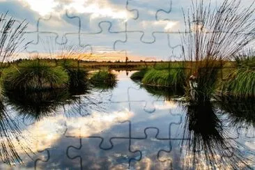 Nature jigsaw puzzle