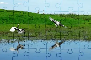 Nature jigsaw puzzle