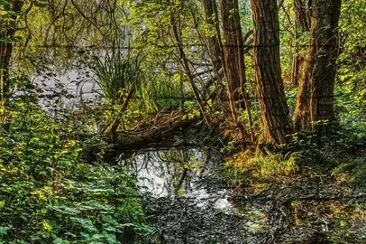 פאזל של Nature