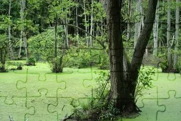 Nature jigsaw puzzle