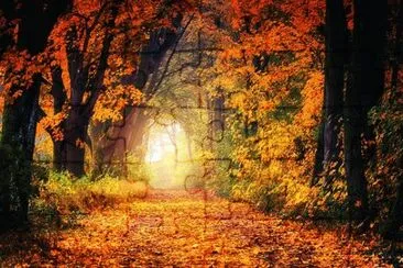 Nature jigsaw puzzle