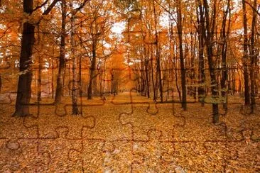 Nature jigsaw puzzle