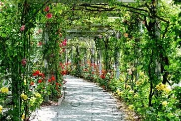 Nature jigsaw puzzle