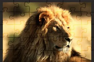  jigsaw puzzle