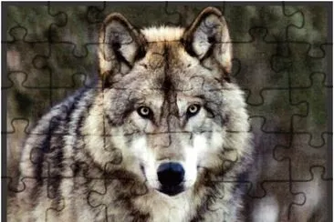 LOBO jigsaw puzzle