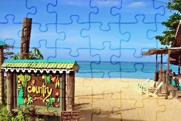 zla jigsaw puzzle