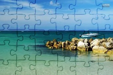 vzla jigsaw puzzle