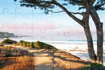 vzla jigsaw puzzle
