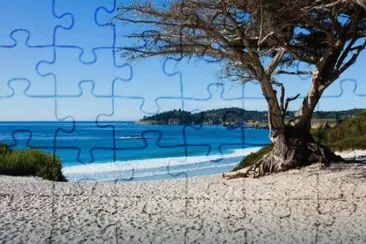 vzla jigsaw puzzle