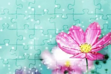 Flor