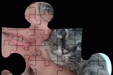 Animais jigsaw puzzle