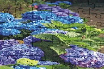 Flowers jigsaw puzzle