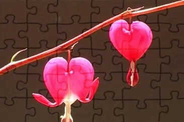 Coeur de marie