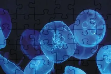 natural phenomenon jigsaw puzzle