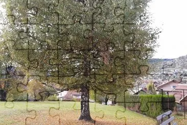 Automne jigsaw puzzle
