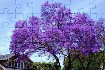 imagem jigsaw puzzle