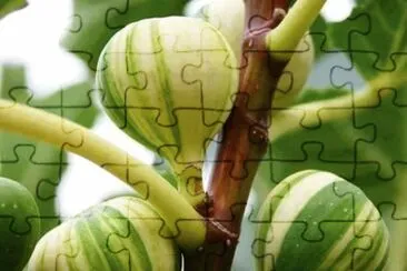 imagem jigsaw puzzle