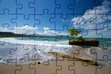 vzla jigsaw puzzle