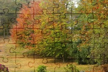 TRACCIOLINO jigsaw puzzle