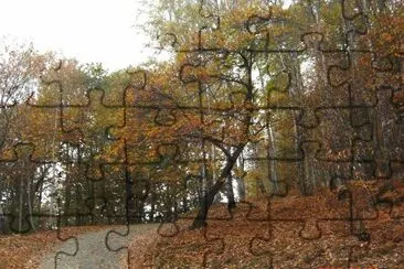 TRACCIOLINO jigsaw puzzle
