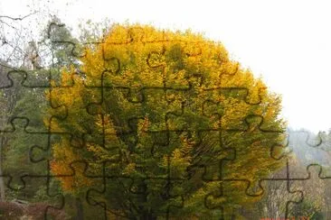 TRACCIOLINO jigsaw puzzle