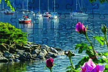 6 jigsaw puzzle