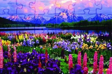 2 jigsaw puzzle