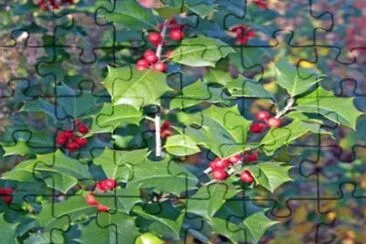 Nature jigsaw puzzle