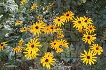 Fleurs d 'automne jigsaw puzzle