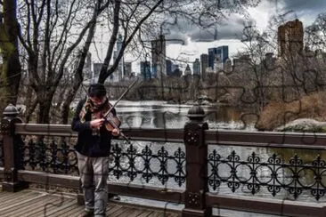 פאזל של Central Park