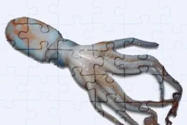 Moscardino jigsaw puzzle