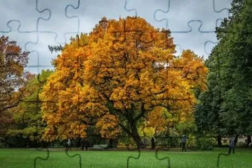 Outono jigsaw puzzle