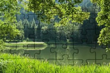 Nature jigsaw puzzle