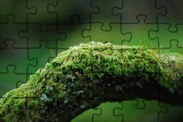 Nature jigsaw puzzle