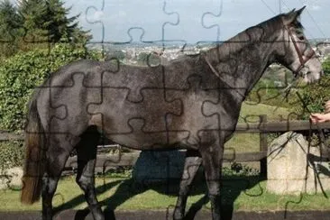 Hunter irlandese jigsaw puzzle