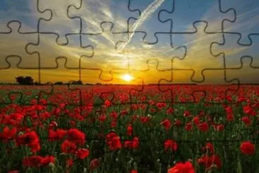 Primavera jigsaw puzzle