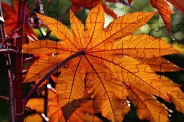 Nature jigsaw puzzle
