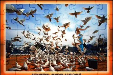 AFGHANISTÃN - Â¿MANDAN LAS PALOMAS? jigsaw puzzle