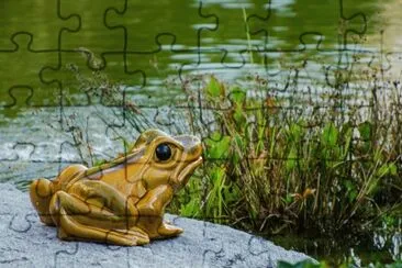 Frosch