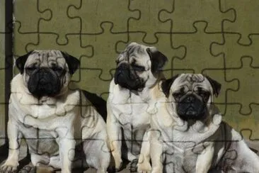 family jigsaw puzzle