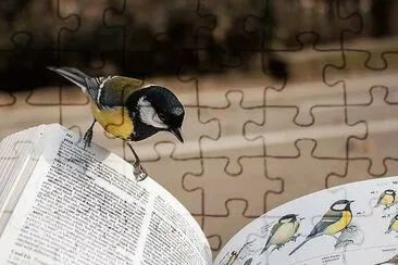 פאזל של natural